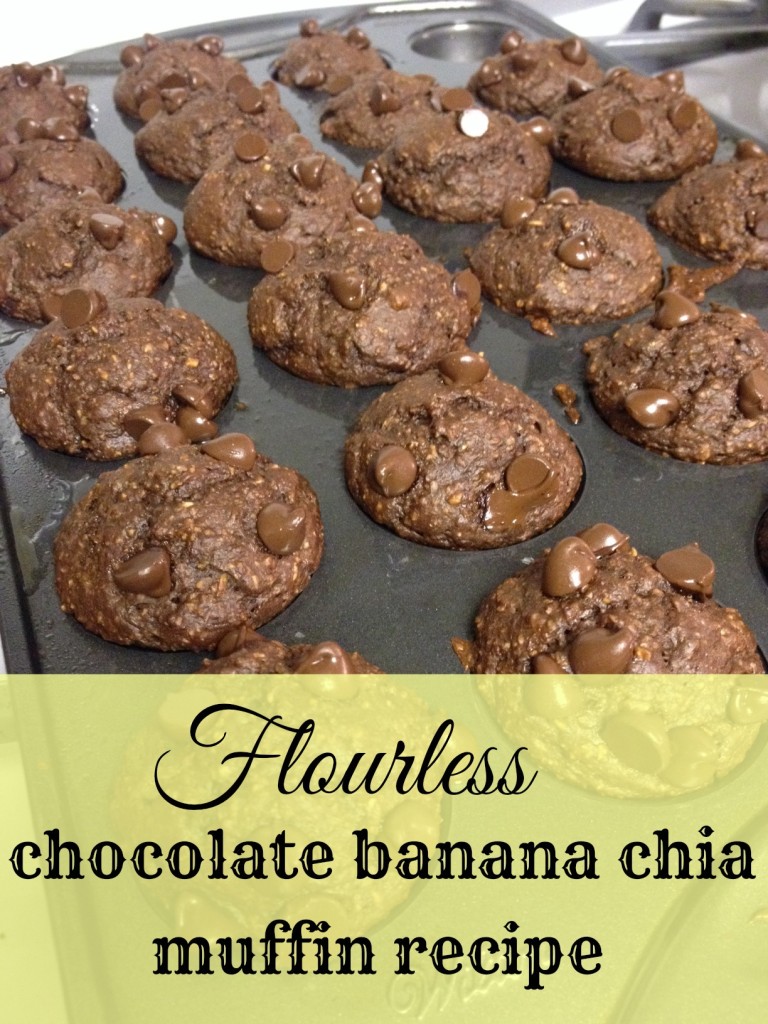 Flourless chocolate banana chia muffin recipe