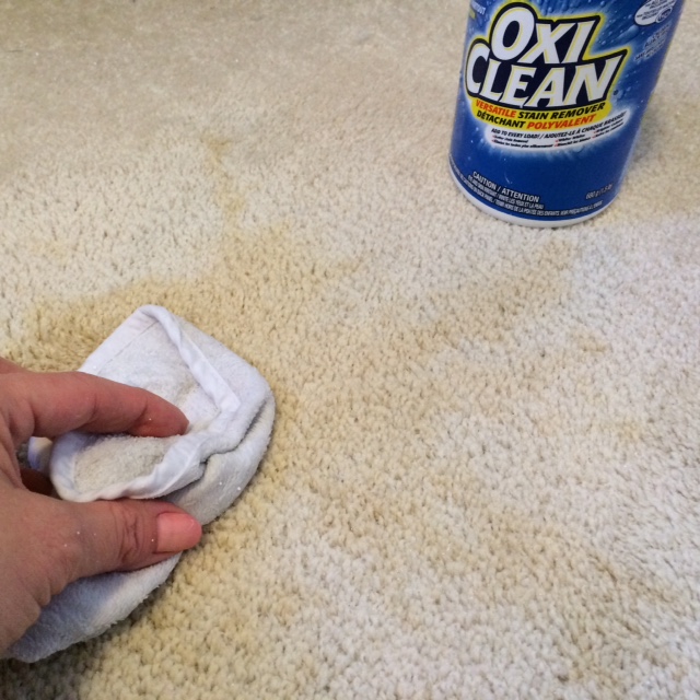 Scrubbing coffee stain with OxiClean