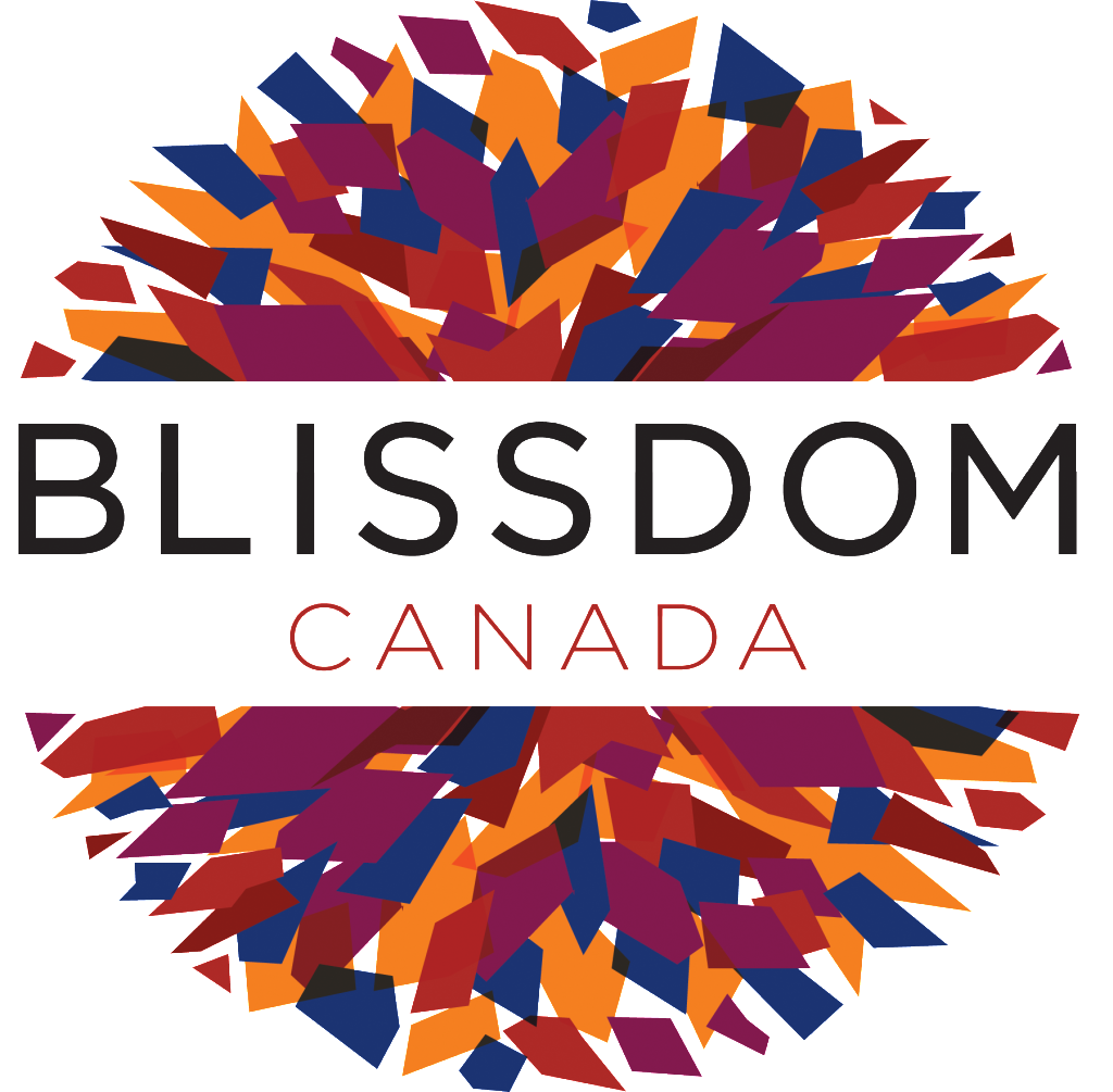 How to network at conferences like BlissDom Canada when you're an introvert.